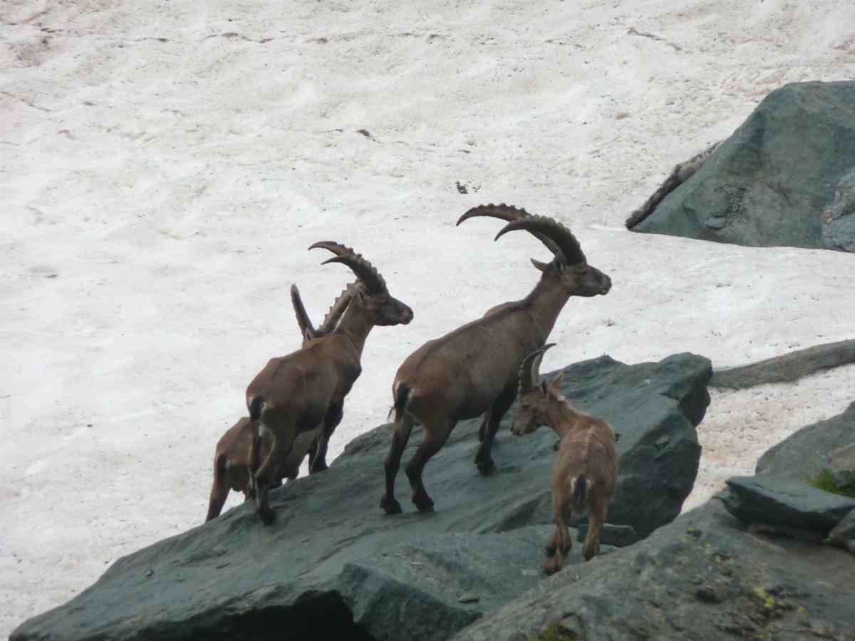 Rifugio Escursionistico Le Lunelle Mezzenile Exterior foto